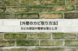 外壁の苔 コケ の取り方 コケができる原因や落とし方を紹介します