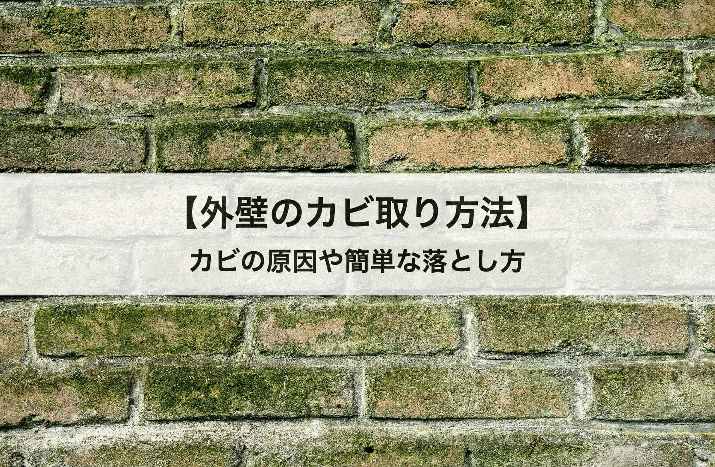 外壁のカビ取り方法 カビの原因や自分でできる簡単な落とし方も紹介