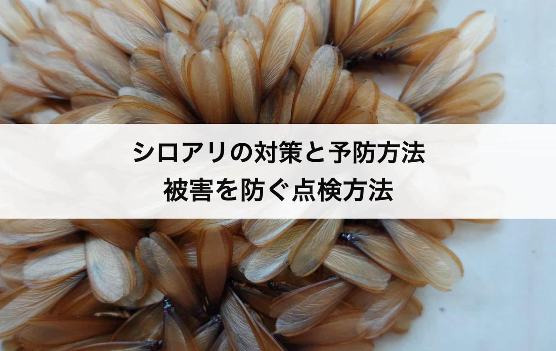 自分でできるシロアリの対策と予防方法 被害を防ぐ点検方法も紹介します