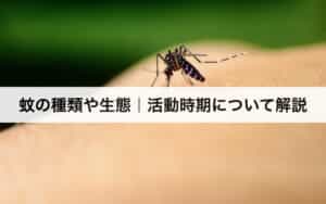 蚊の種類や生態｜活動時期について解説します。