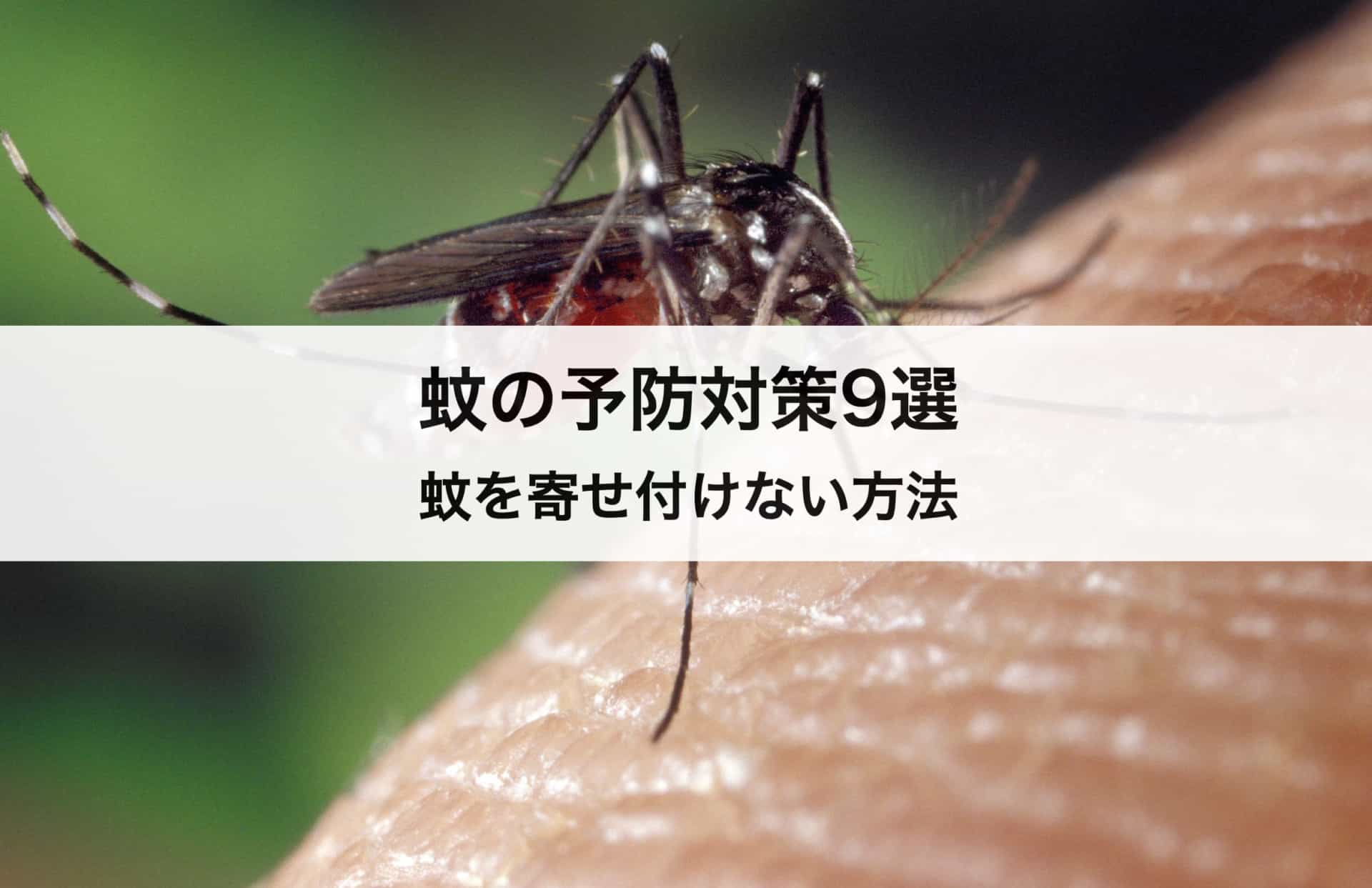 蚊の予防対策9選｜蚊を寄せ付けない方法も徹底解説！