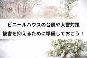 ビニールハウスの台風や大雪対策｜被害を抑えるために準備しておこう！