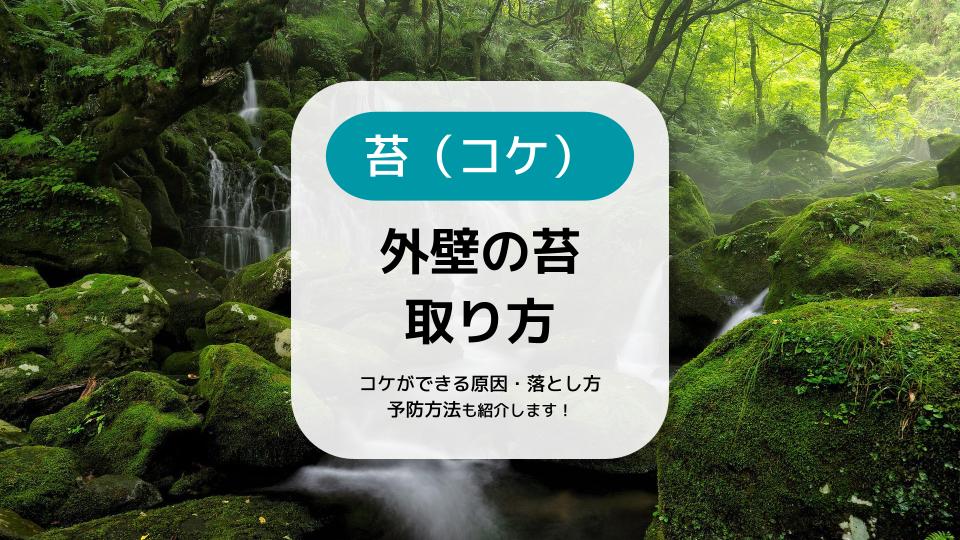 外壁の苔 コケ の取り方 コケができる原因や落とし方を