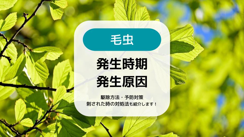 毛虫の発生時期を種類ごとに解説 発生原因や刺されたときの