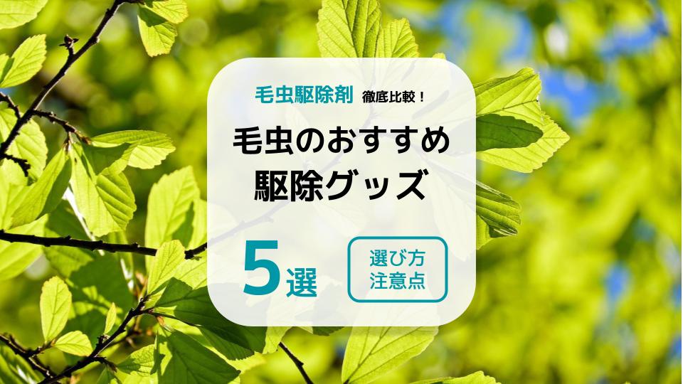 毛虫のおすすめ駆除グッズ5選｜殺虫剤の選び方、駆除のポイント・注意