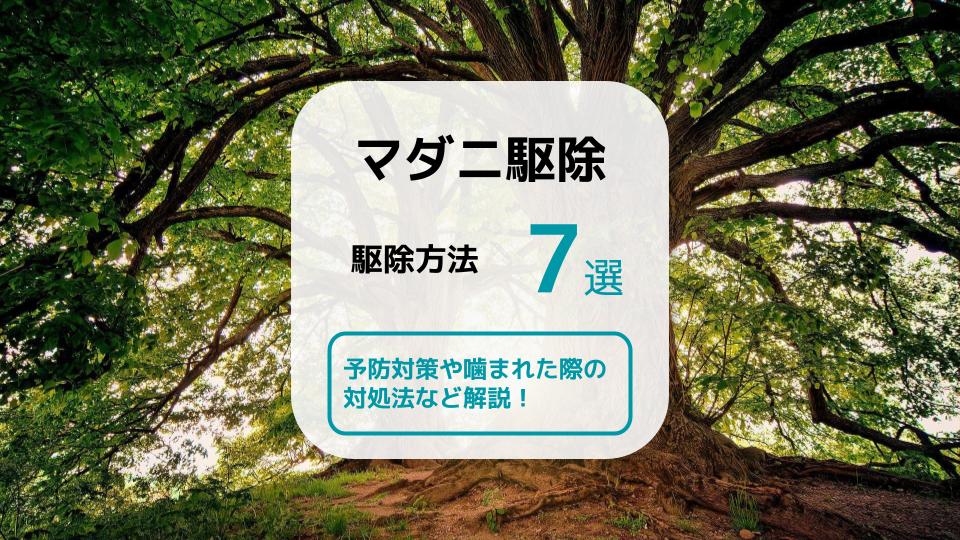 マダニの駆除方法7選 予防対策や噛まれた際の対処