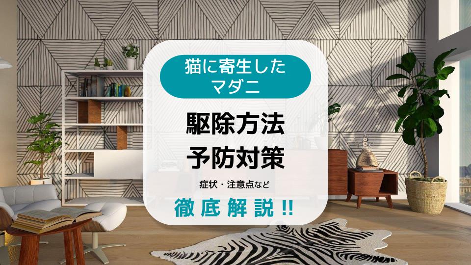 猫に寄生したマダニの取り方 駆除 予防対策や注意点 症状