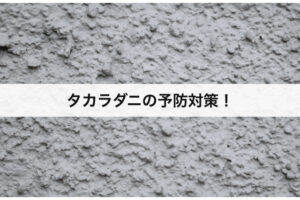 タカラダニのおすすめ駆除業者8選 プロに依頼するメリット デメリットなど紹介