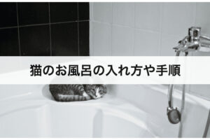 猫ノミを駆除するためのお風呂の入れ方や手順