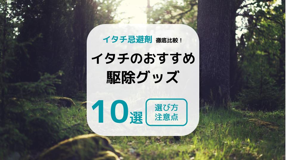 おすすめのイタチ駆除グッズ10選｜撃退時の注意点や人気の