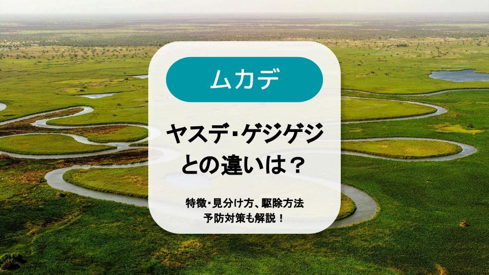 ムカデとヤスデ ゲジゲジの違いは 特徴 見分け方 駆除方法や予防対策も