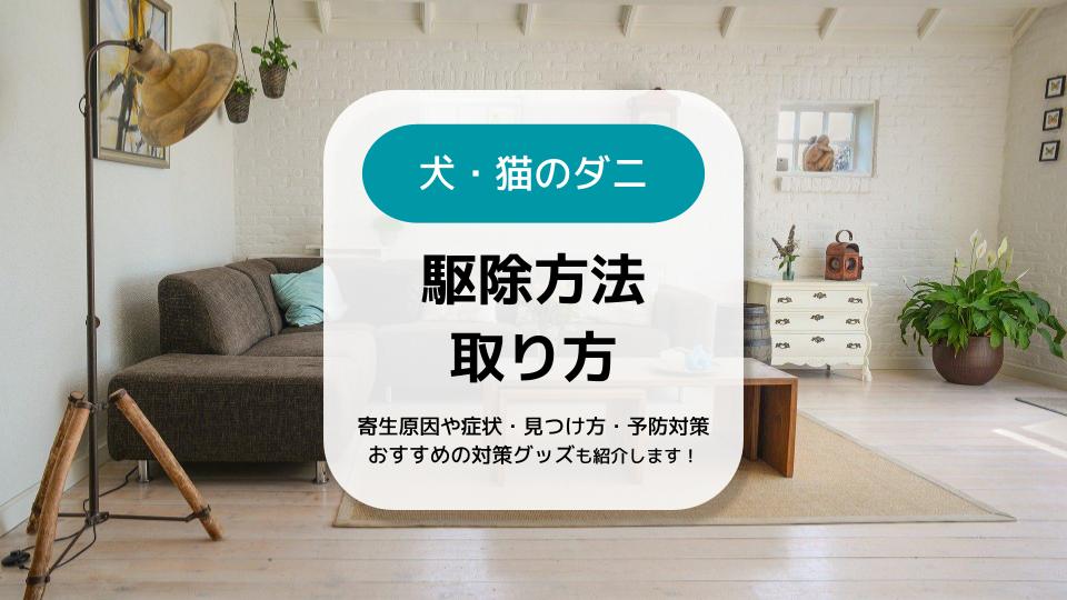 犬 猫 ダニの駆除方法や取り方 安全な予防対策や見つけ方 おすすめグッズなど紹介 コストモンスター
