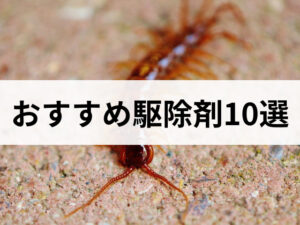 【殺虫剤】ムカデ退治のおすすめ駆除剤10選