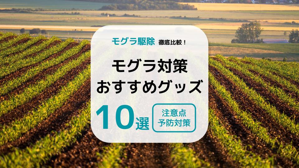 モグラ対策におすすめのグッズ10選 再発防止対策と注意点も