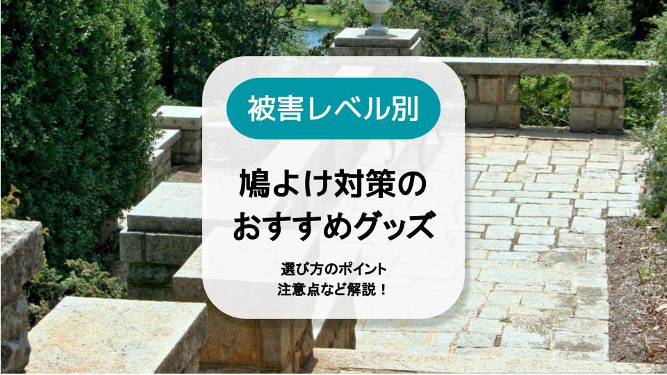 鳩よけ対策のおすすめグッズを被害レベル別に紹介｜選び方のポイント