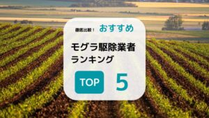 モグラ対策におすすめのグッズ10選 再発防止対策と注意点も解説