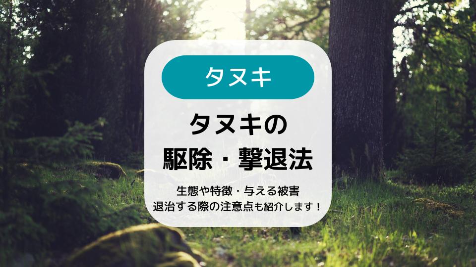 タヌキの駆除・撃退法7選｜生態や被害、対策時の注意点