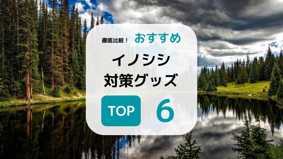 おすすめイノシシ対策グッズ6選を紹介！使い方や効果、駆除の注意点など解説