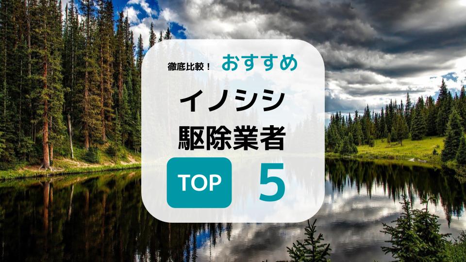 イノシシ駆除業者のおすすめ5社紹介 料金相場やメリット 選び方