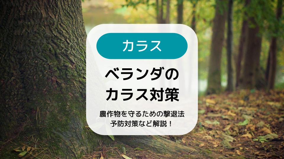 全国組立設置無料 鳥よけ カラスよけ カラス撃退 グッズ カラス除け 忌避 カラス カラスなぜ逃げる？強力タイプＫＳ００２ カラス対策 駆除 ゴミ  撃退率95％以上 除菌、消臭、清掃グッズ