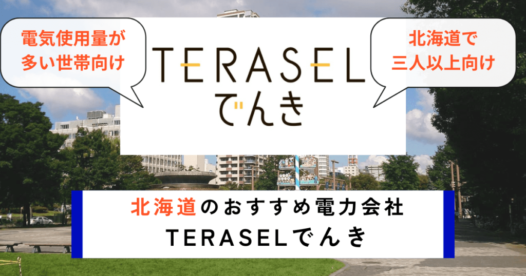 北海道のおすすめ電力会社にTERASELでんき