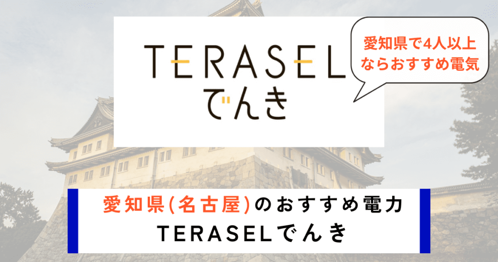 愛知_名古屋のおすすめの電力会社にTERASELでんき