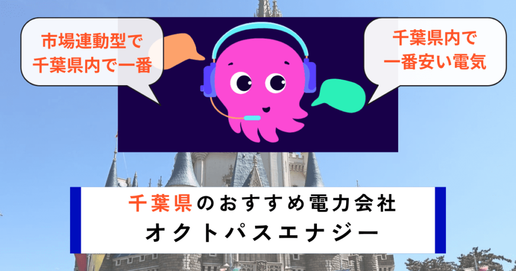 千葉県のおすすめの電力会社にオクトパスエナジー