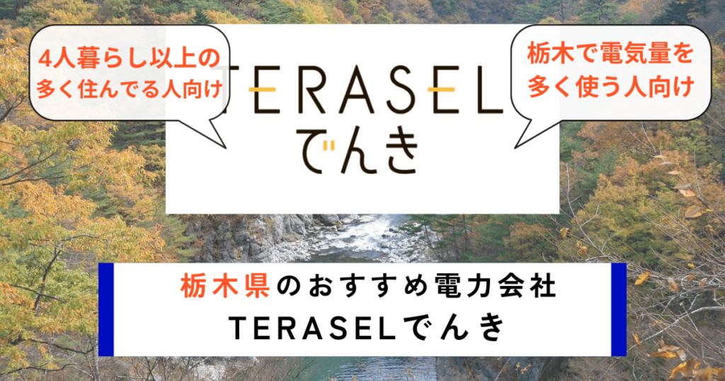 栃木県のおすすめの電力会社にTERASELでんき