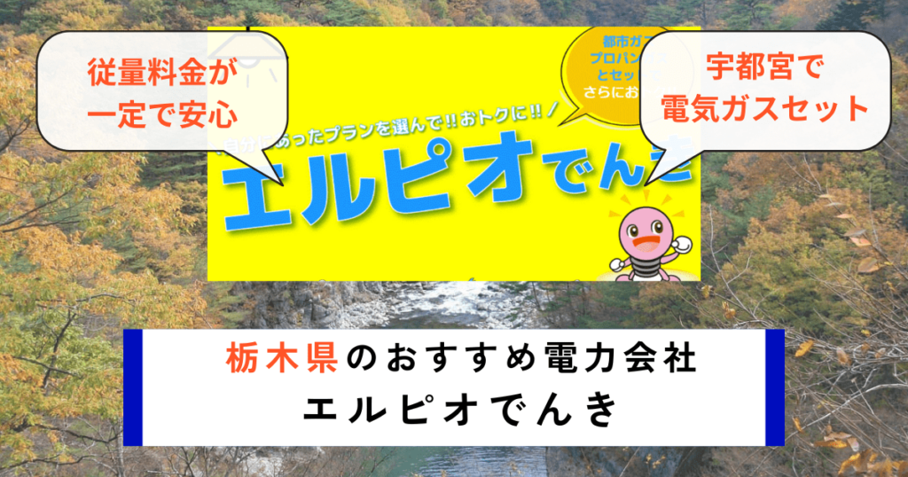 栃木県のおすすめの電力会社にエルピオでんき