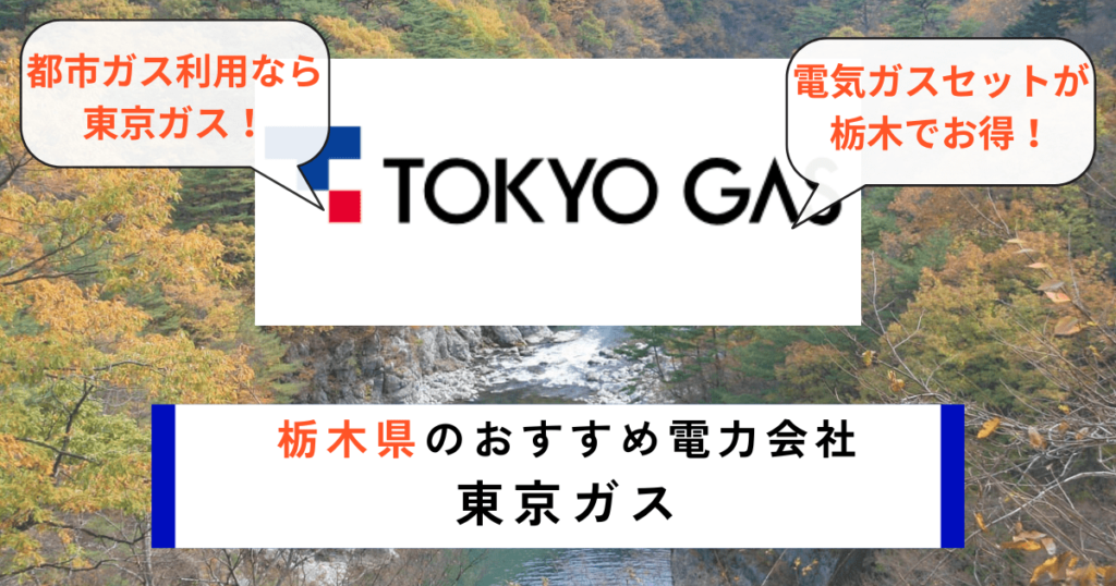 栃木県のおすすめの電力会社に東京ガス