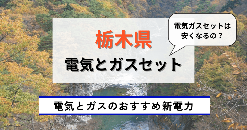 栃木県のおすすめの電気とガスセット