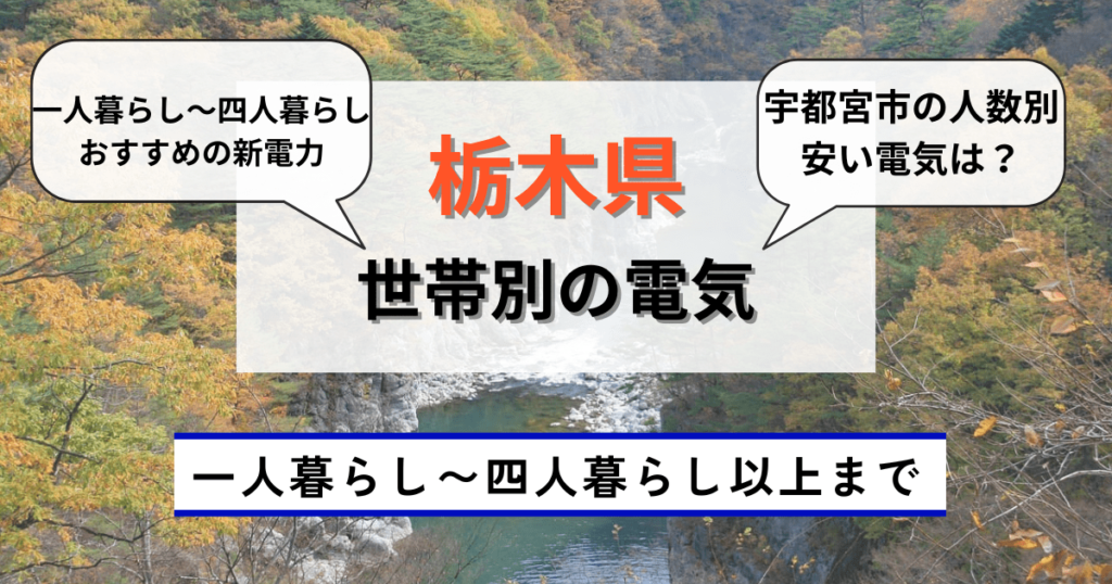 栃木県の世帯別の電力会社