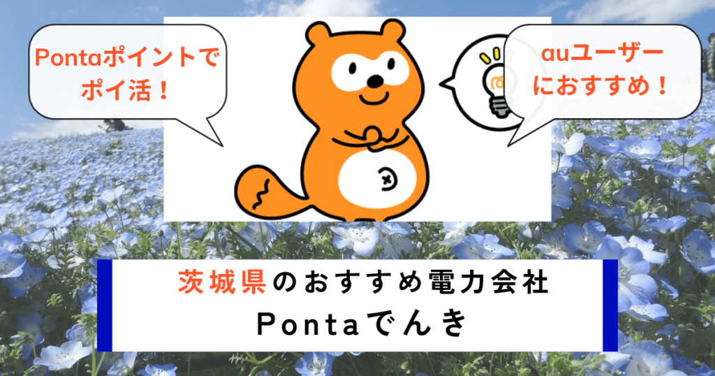 茨城県でおすすめの電力会社にPontaでんき