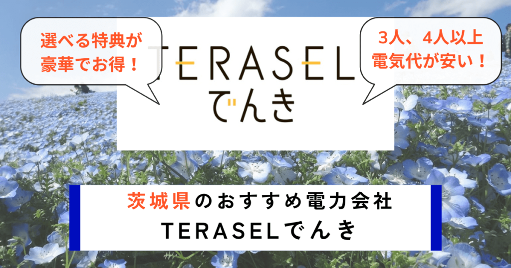 茨城県でおすすめの電力会社にTERASELでんき