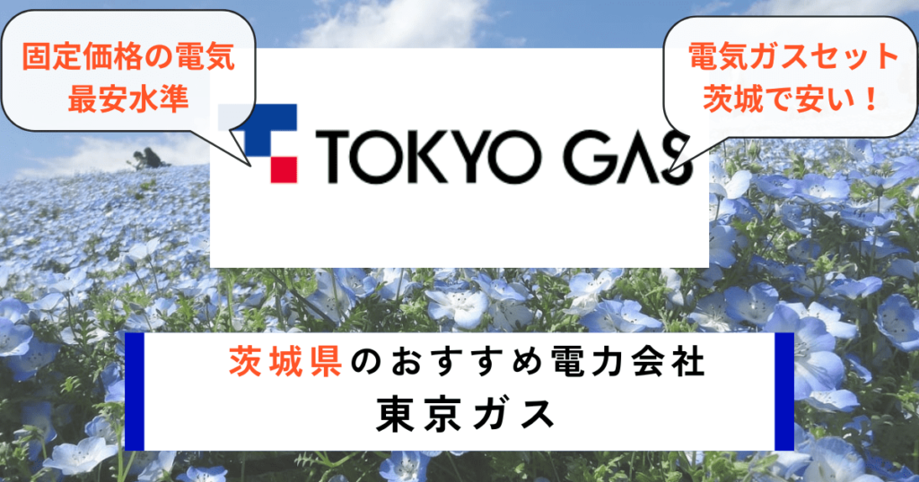 茨城県でおすすめの電力会社に東京ガス