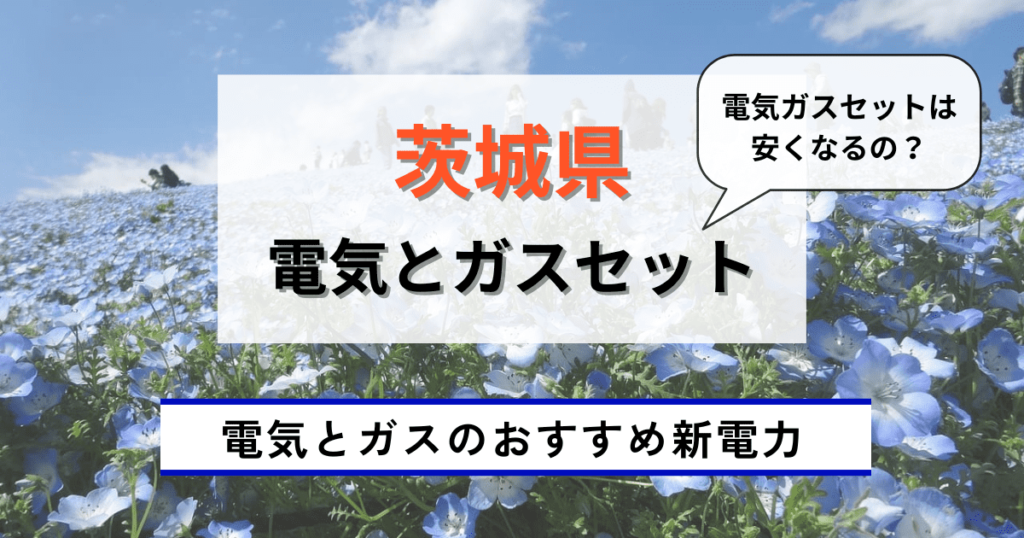 茨城県でおすすめの電気とガスのセット