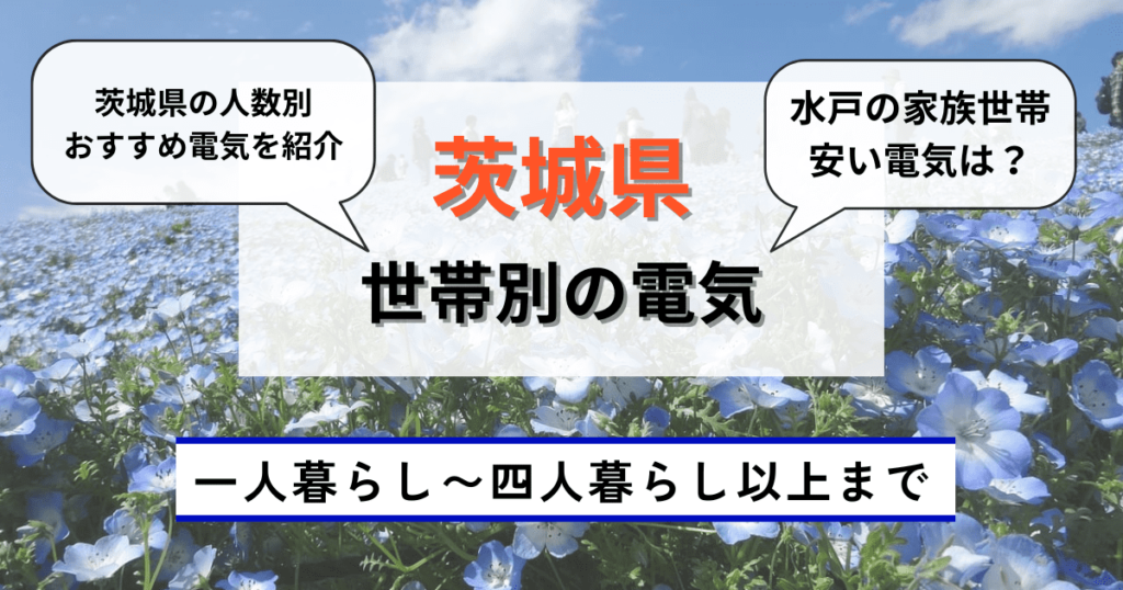 茨城県の世帯別でおすすめの電気