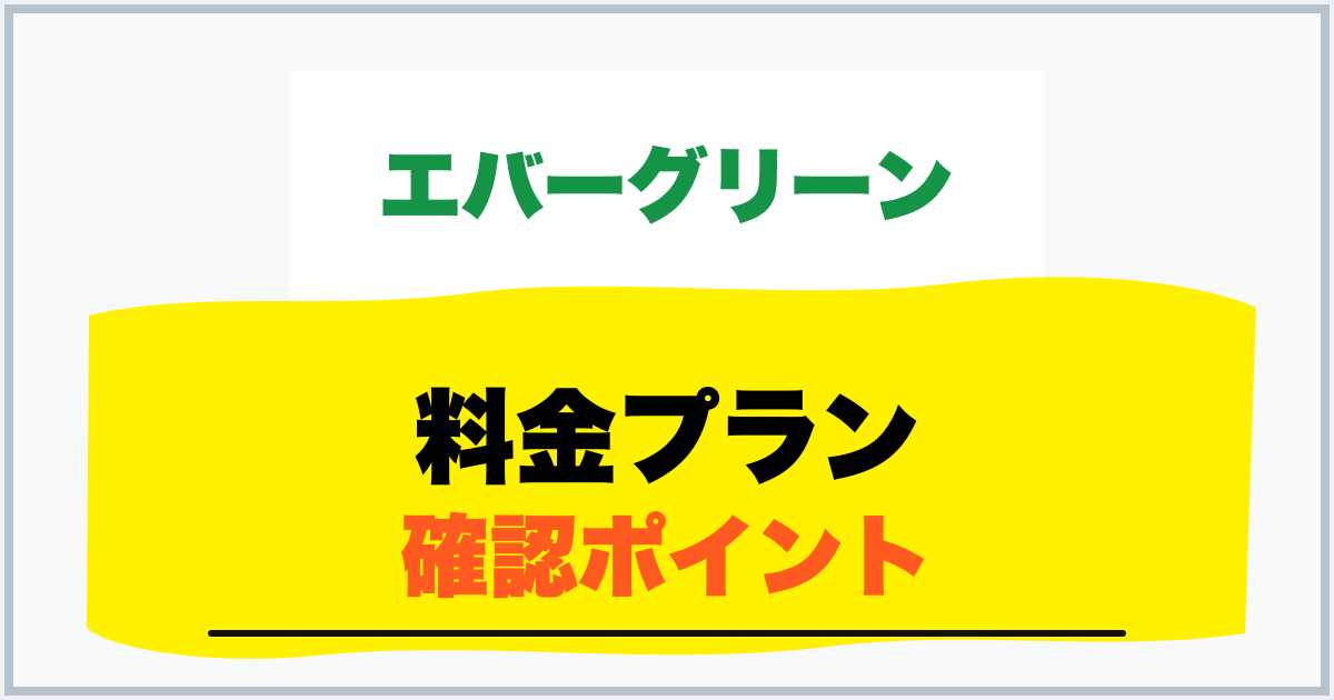 料金プラン 確認ポイント