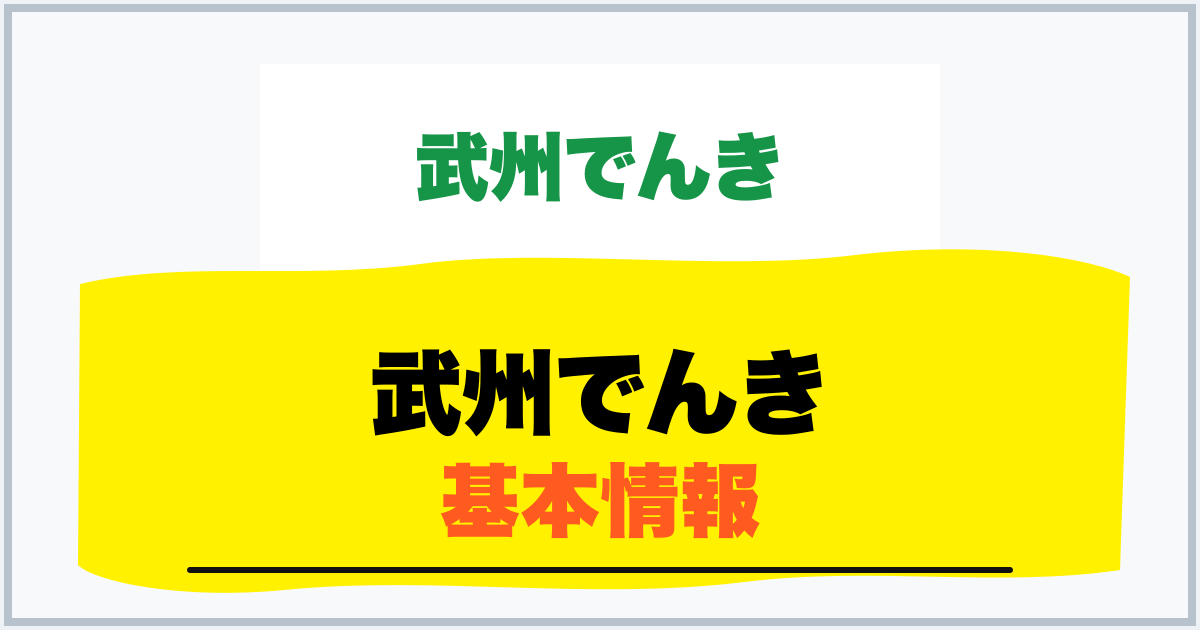 武州でんき 基本情報