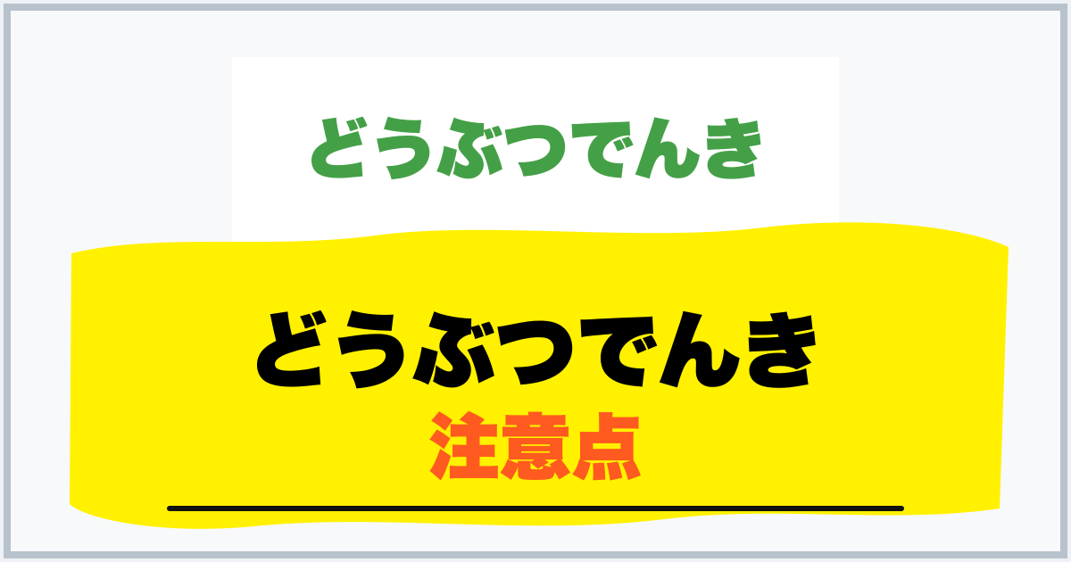 どうぶつでんき 注意点