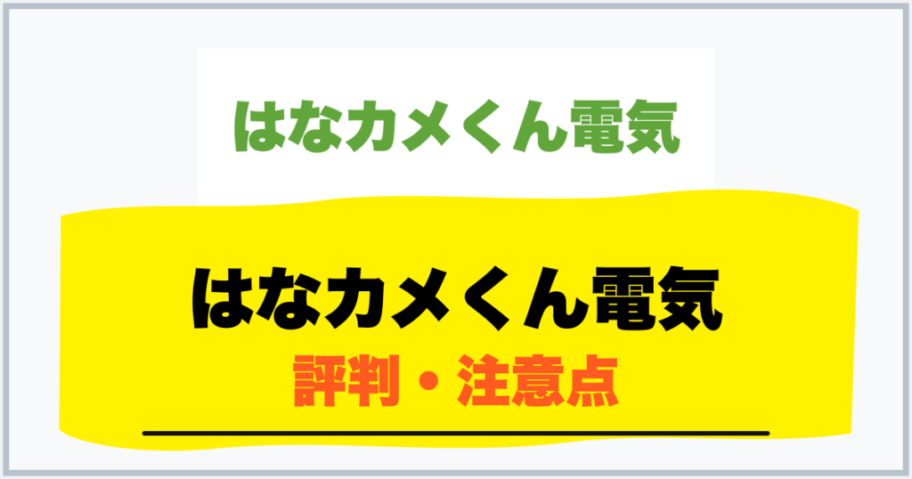 はなカメくん電気 評判・注意点