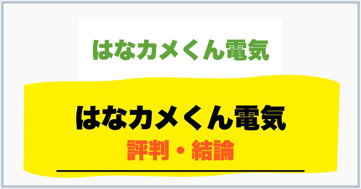 はなカメくん電気 評判・結論