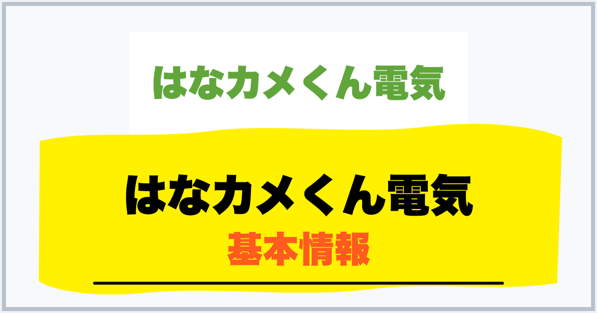 はなカメくん電気 基本情報