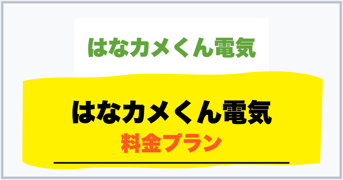はなカメくん電気 料金プラン