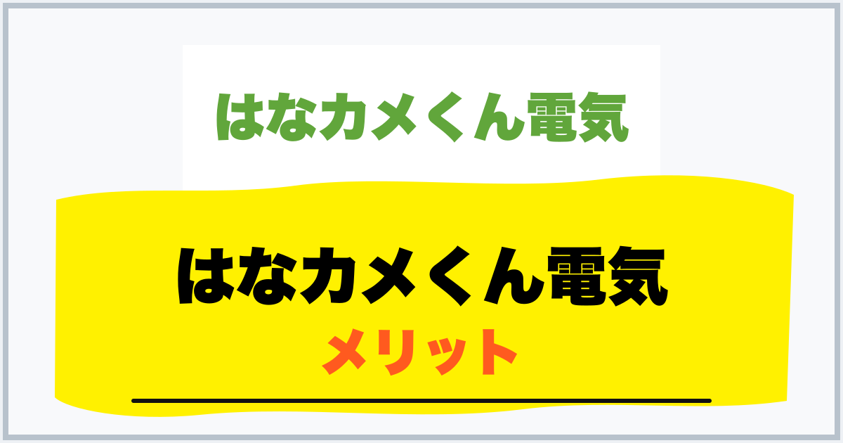 はなカメくん電気 メリット