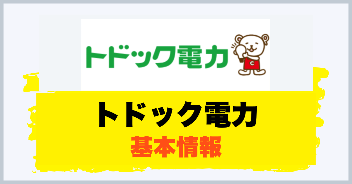 トドック電力 基本情報