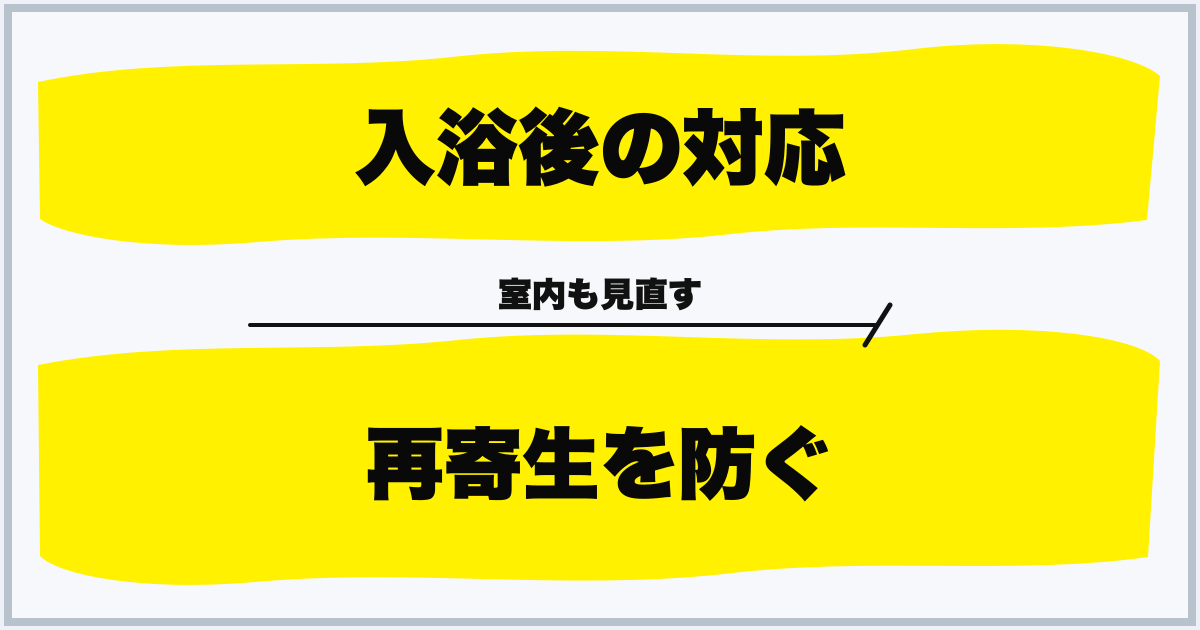 入浴後の対応 再寄生を防ぐ